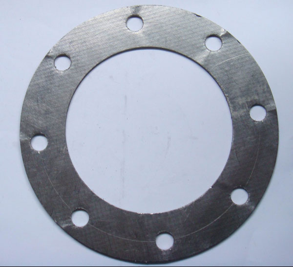 reinforced graphite gasket